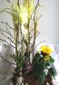 menu_2011041644x