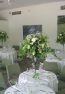 menu_2012060137x